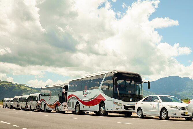 Private Nadi Airport Arrival Transfer Shuttle Charter - Child Seats, Service Animals, and Special Luggage Considerations