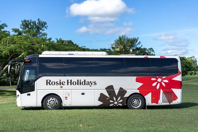 Private Premium Departure Transfer : Hotel to Nadi Airport - Luggage, oversized items, and the 4-adult comfort question