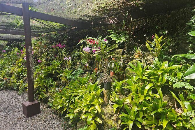 Private Tour: Best of Nadi Highlights - Price and Value: What $110.53 Gets You