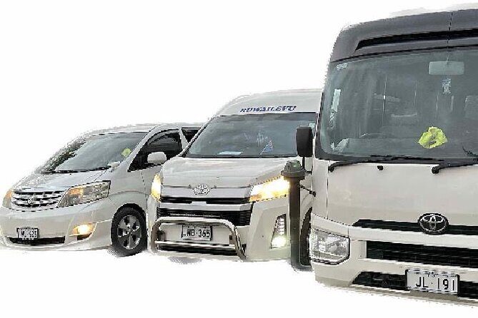 Round Trip Transfer-Nadi Airport to Denarau Island Resorts - Price and value: what $28.22 per person buys you