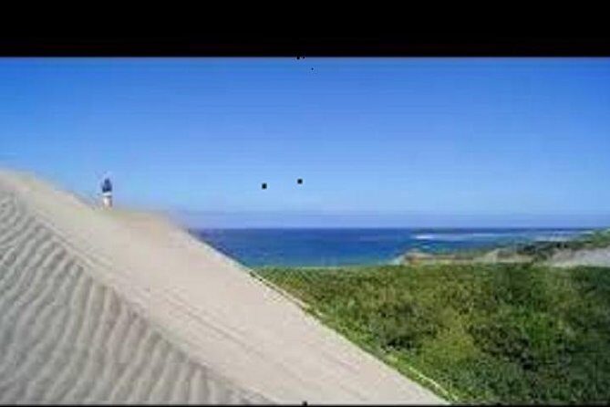 Scenic Sigatoka Valley Drive, Fijian Pottery Village, Local School & Sand Dunes Ex Nadi Hotels - Why This Half-Day Sigatoka Route Is Built for Real Life