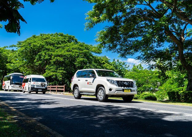 Shared Departure Transfer : Hotel to Airport - Who Should Book This Nadi Hotel-to-Airport Transfer?