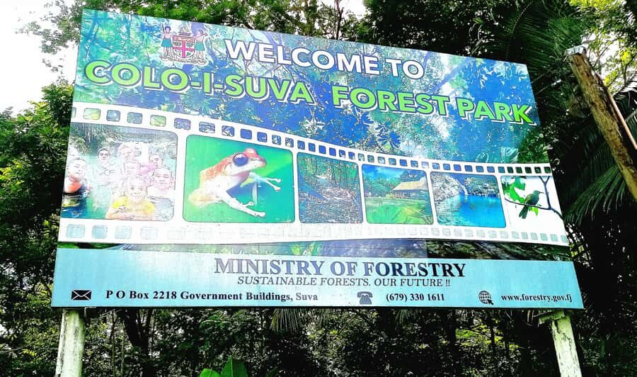 Suva Cruise Ship Tour - Who should book this Suva cruise excursion