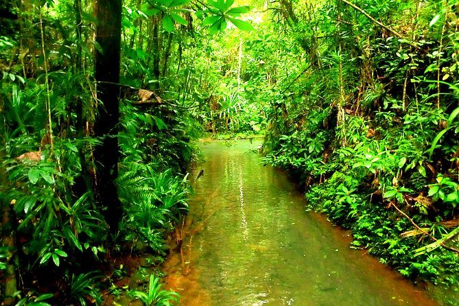 Suva Customized tour- Private - Price and value: is $108.18 per person fair?