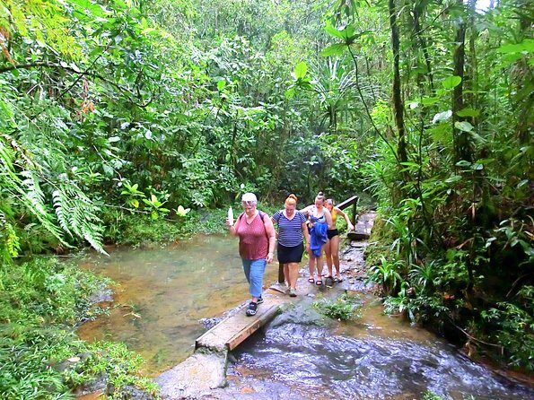 Suva Customized tour- Private - Thurston Botanical Gardens: palms, gingers, and a museum inside the gardens