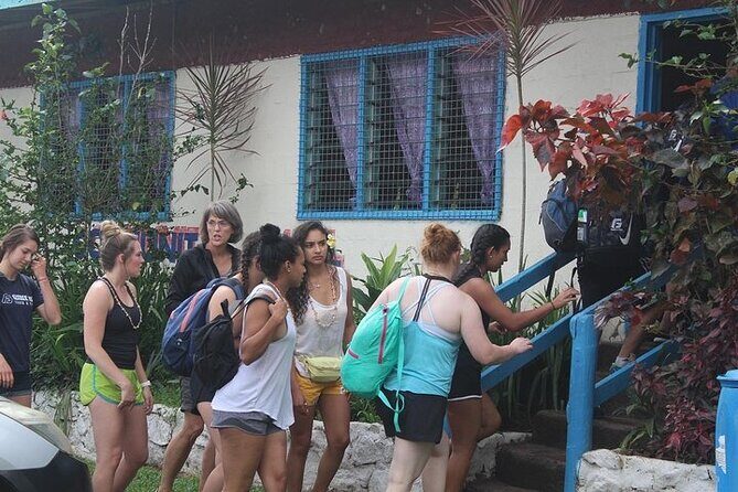 Waterfall and Fijian Village Tour with Light Lunch ex Nadi Area Hotels - From Nadi pickup to Sigatoka: what the travel day really feels like