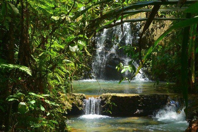 Waterfalls and Nature Tour - Colo-I-Suva Forest Park: why this tour feels more real