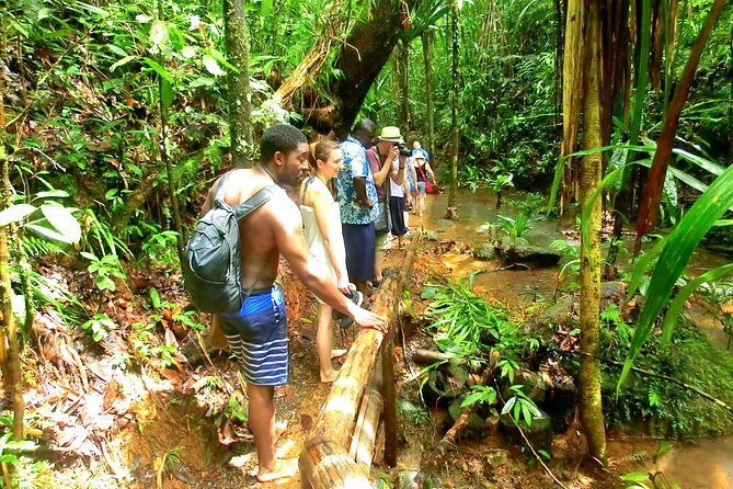 Waterfalls and Nature Tour - Swimming in natural pools: refreshing, but treat it like the forest