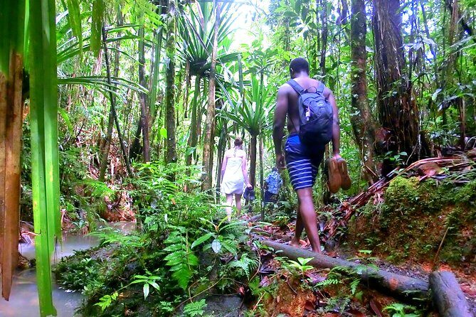 Waterfalls and Nature Tour - The nature trail experience: birds, sounds, and small wins