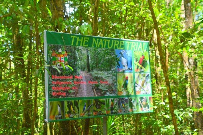 Waterfalls and Nature Tour - Getting there from Suva: pickup and a morning start