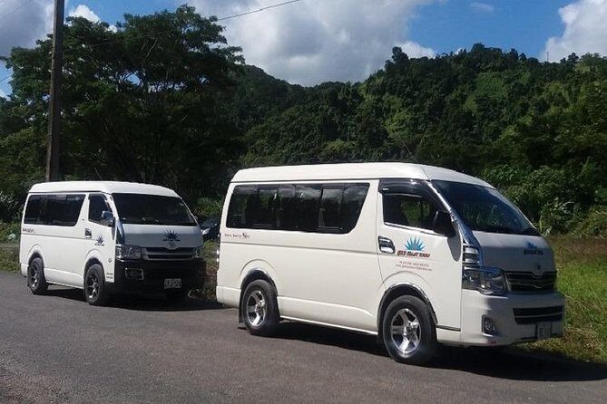Zip line Fiji ex Fiji Marriot w/private transfer dropoff Nadi Airport or resort - Who this tour suits best (and who should think twice)