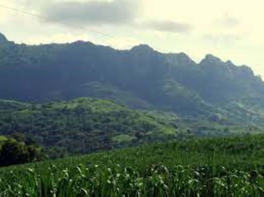 Zipline, Cave, Seaview & Mud Spa Tour with Lunch Included - Food, included tickets, and the real value of the $189 price